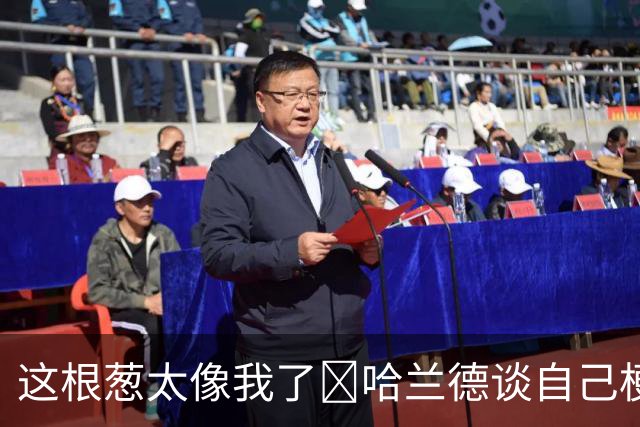 这根葱太像我了🤣哈兰德谈自己梗图：做得很棒，没什么好较真的